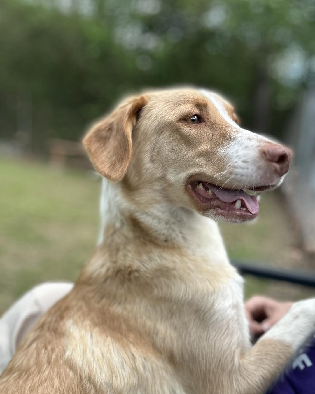 HSO's PET OF THE WEEK for 5-3-26!