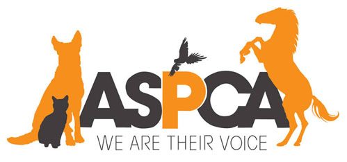 cropped-a-spcaj.jpg